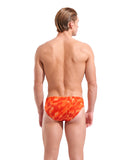 Arena Wave Brief (2 Years)